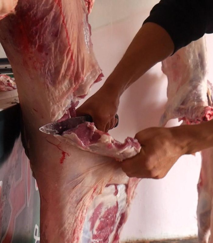 Festivities - Qurbani