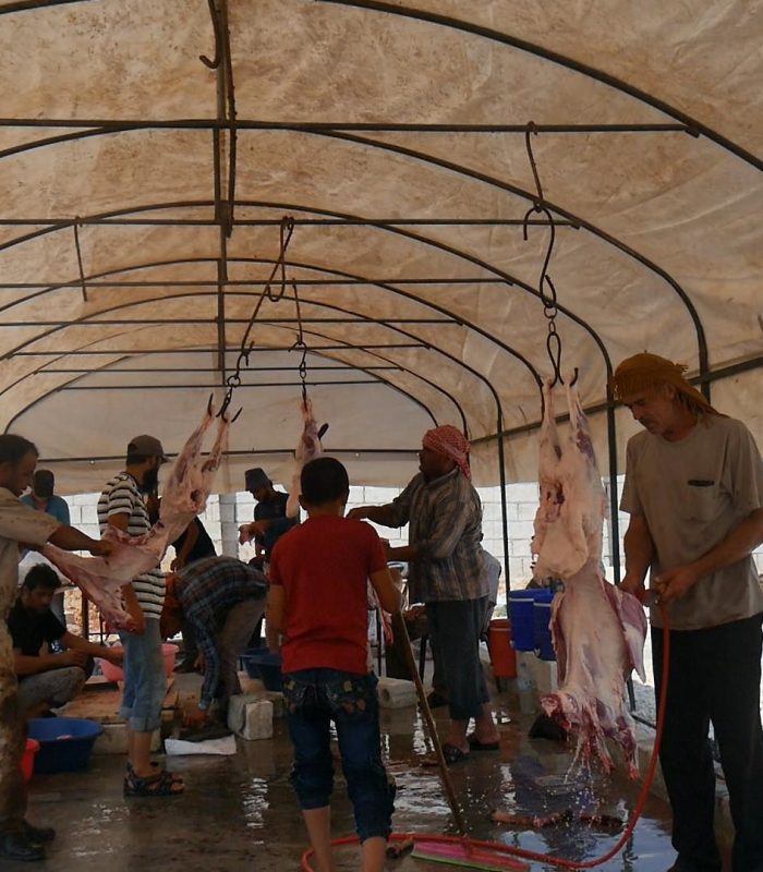 Festivities - Qurbani